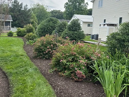 Coastal landscape installation planned for salt, wind, and sandy soil